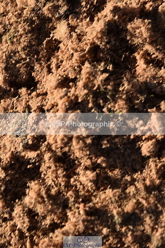 231105A-133114-01144 - 90cm