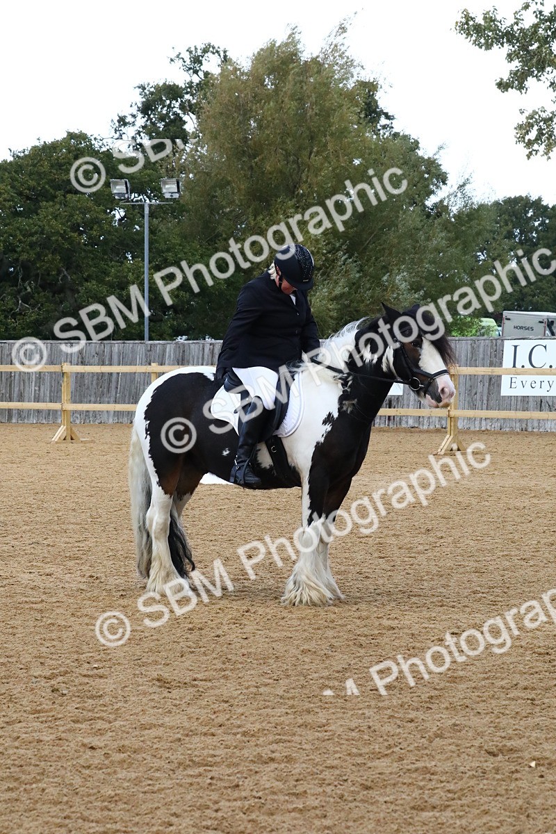 SBM_21042 - D5 - Small Tour Championshop Intro 2