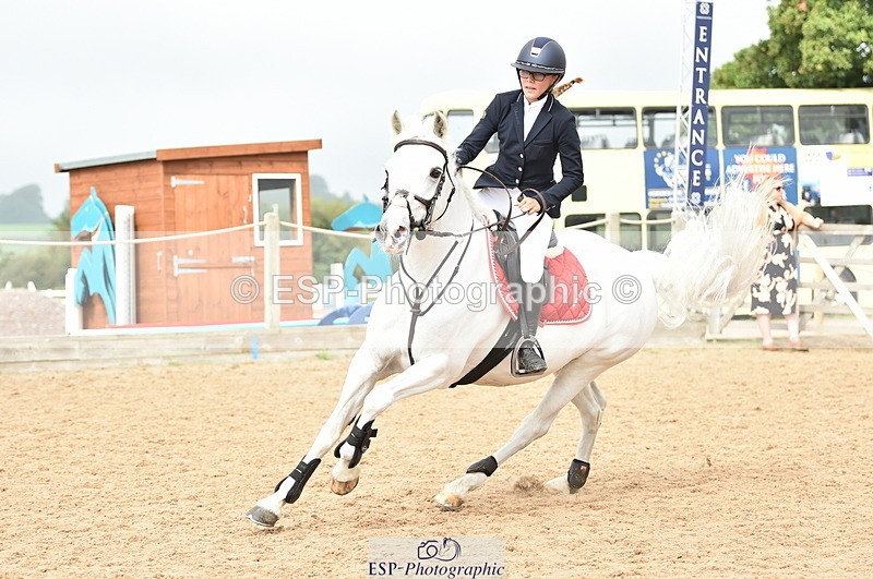 230902A-112310-00696 - Cls 2B Pony Small 80cm