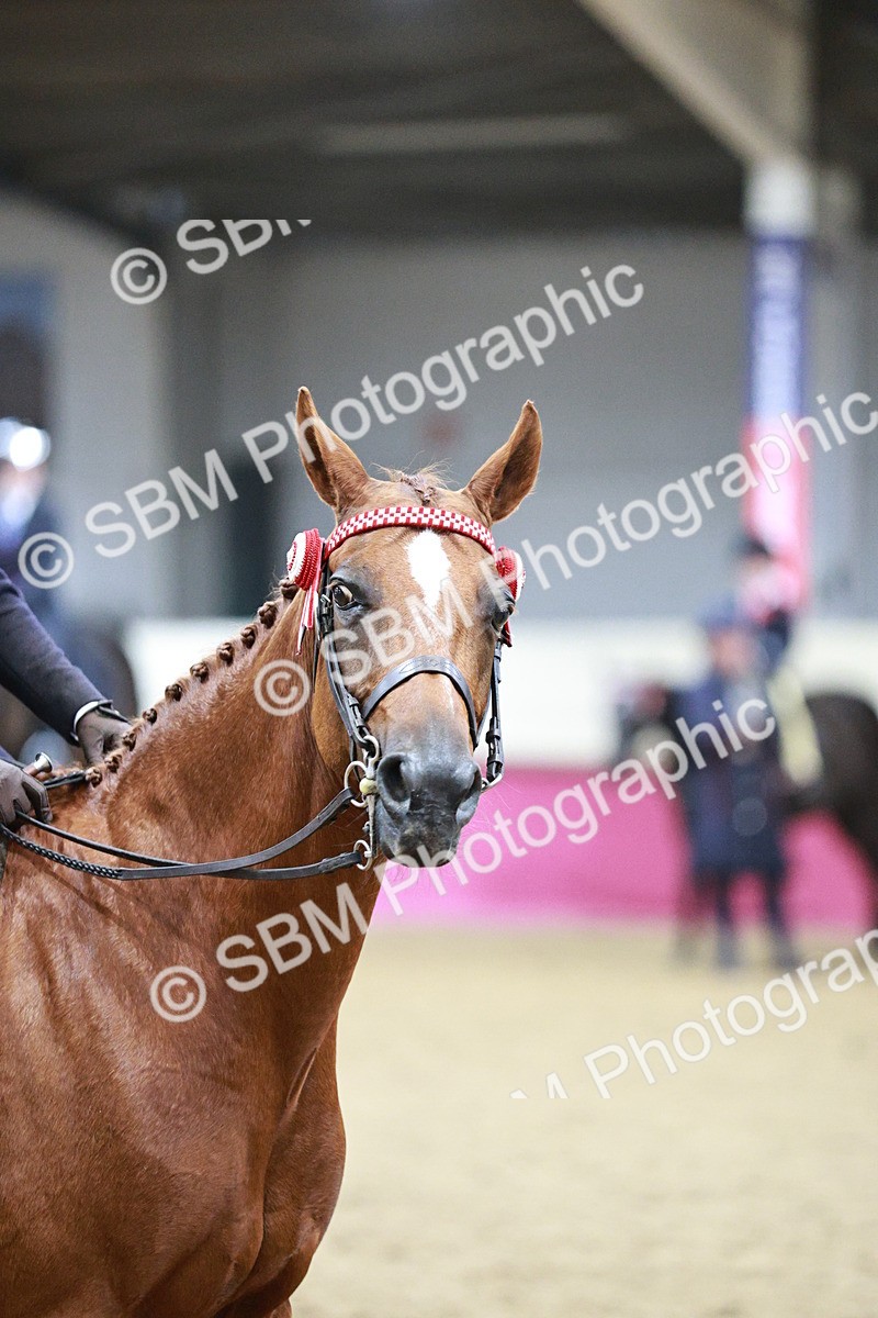 SBM_03453 - Class 6A Area Ridden Pre-Vet