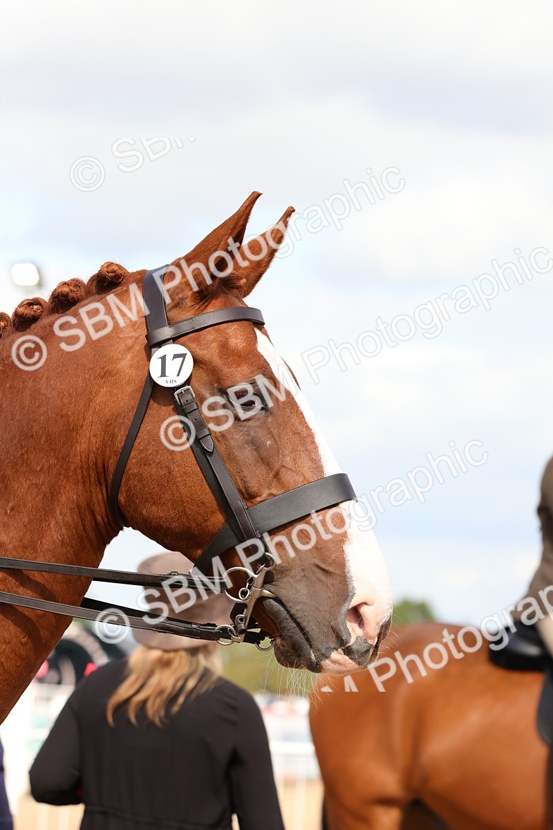 SBM_13557 - Class 212 - Ridden Hunter  - Large