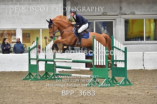 BPP_3683 - FRI CLASS 21 BR NOVICE/90CM