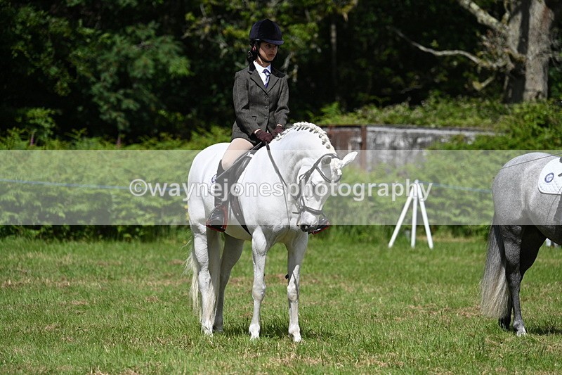 WJ7_1746 - Class 9 Pony Club Pony