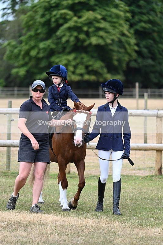 WJ7_9649 - Class 1 Lead Rein Pony
