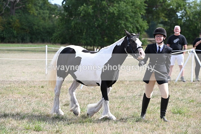 WJ6_6628 - Class 20 In-hand Cob