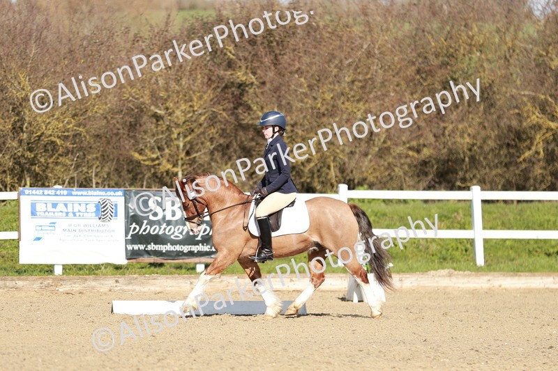 20260314-4289 - DR4 - Prelim 2