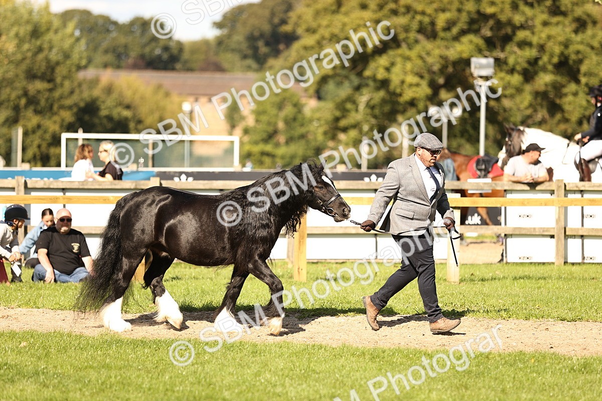 SBM_26165 - S5 - Novice & Newcomers In Hand