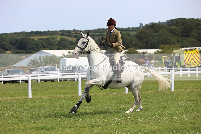 JPP_3660 - Class 23: Working Hunter 80cm