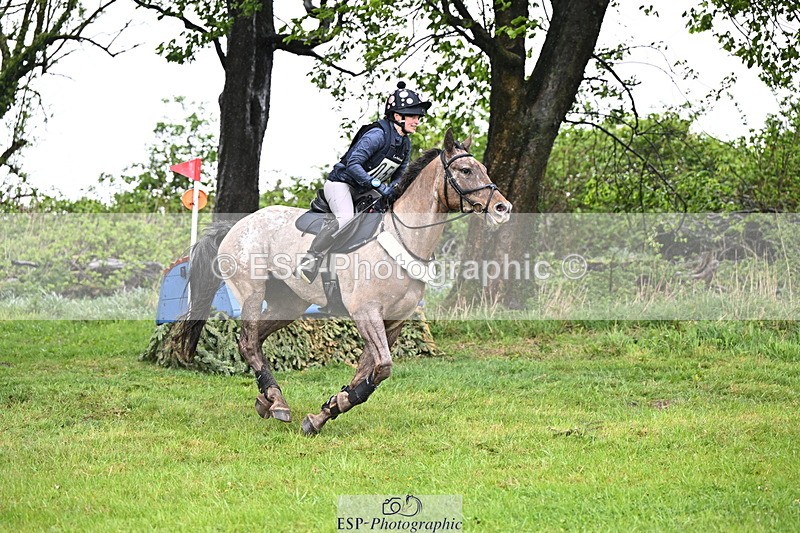 250418-122504-02942 - 055-Holly.Day-MUSTANG