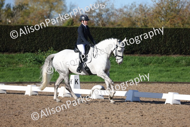 20251102-0445 - Class 3 - Novice 5