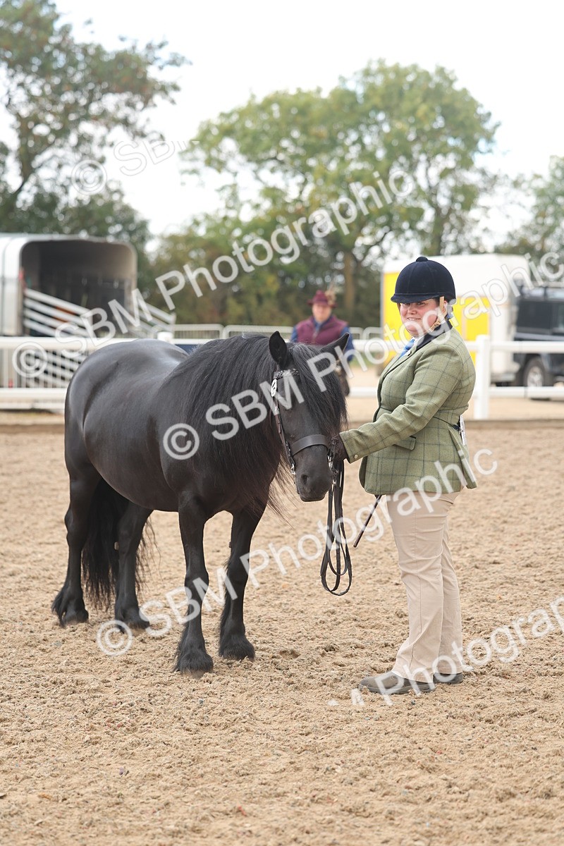 SBM_03250 - Class 16 - IH M&M Wildcard