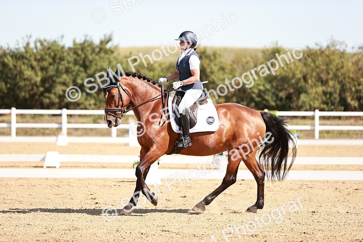 SBM_004425 - Class 12 - Novice 5 - 10.31-11.41