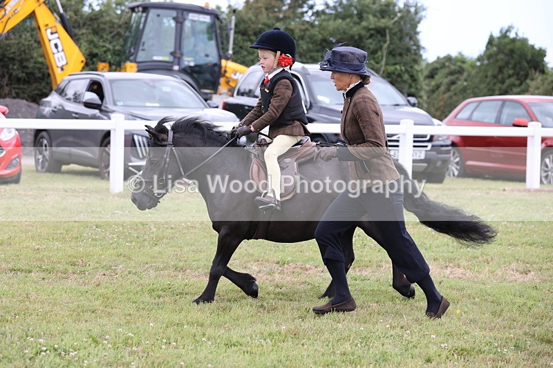 JPP_1734 - Class 18: Tiny Tots Working Hunter Pony