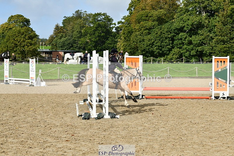 251004A-122017-00998 - Classes 4 & 5 50cm