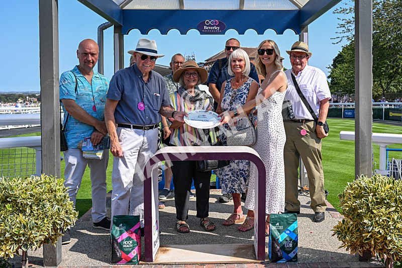130826-Race 2-Concert Pitch-8120 - Race 2 14.45pm Welcome Racing TV Club Members Nursery Handicap