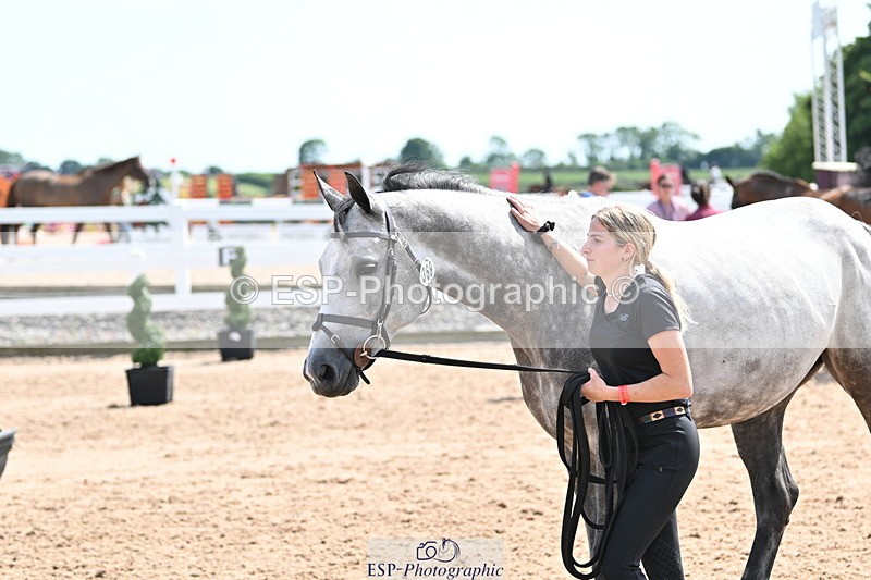 240717A-150950-02592 - Trot Up 3pm to 4pm