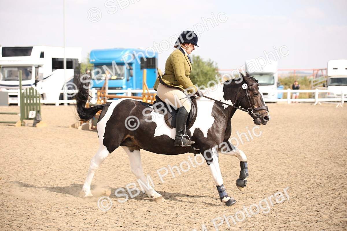 SBM_13610 - Class 406b - Working Veteran 50cm (20+)