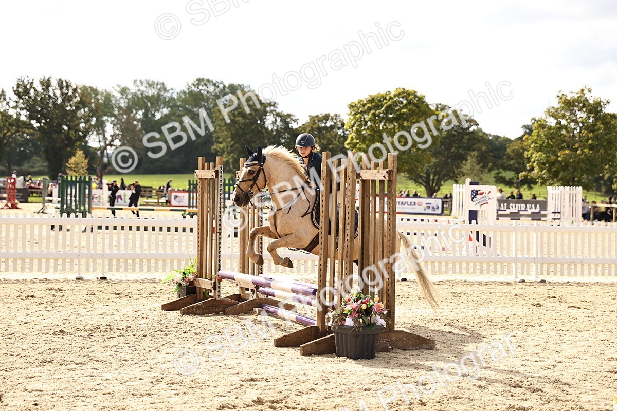 SBM_63781 - J12 - Junior Pony 55cm Championship