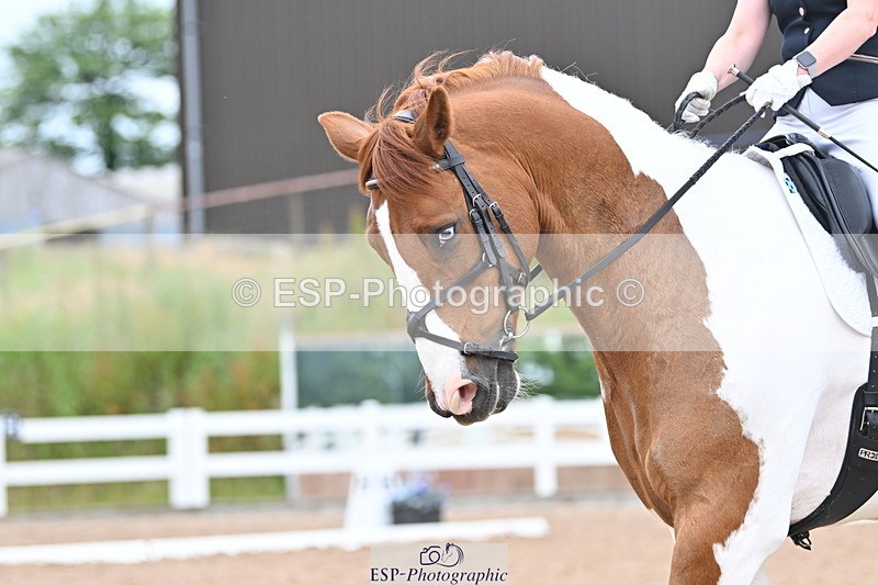 240623A-121632-18212 - Cls 49 Music Novice