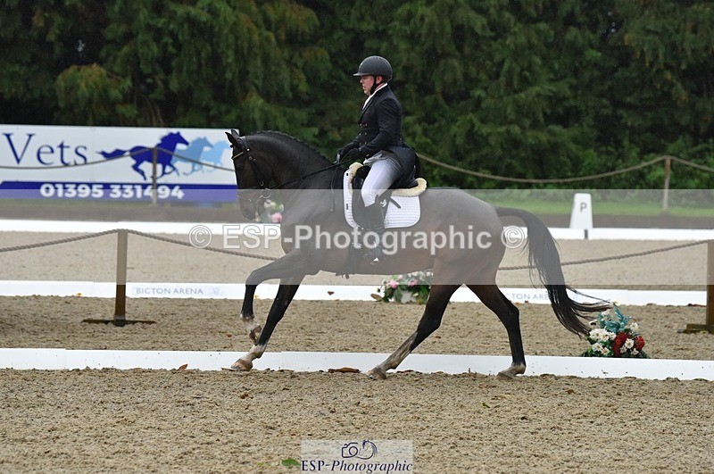 231018-153808-00837 - 011-BIG.QUERLYBET.K.Z-Paul.Whitehead-DR