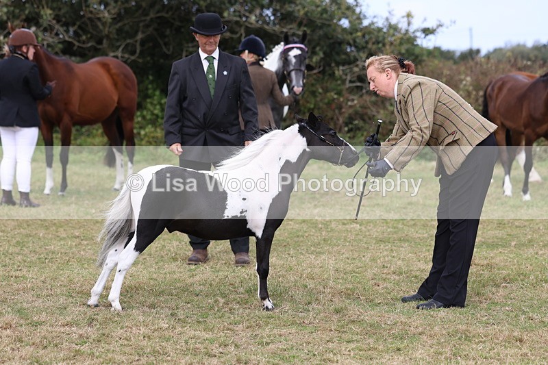 3E7A4215 - Class 15: Two Year Olds