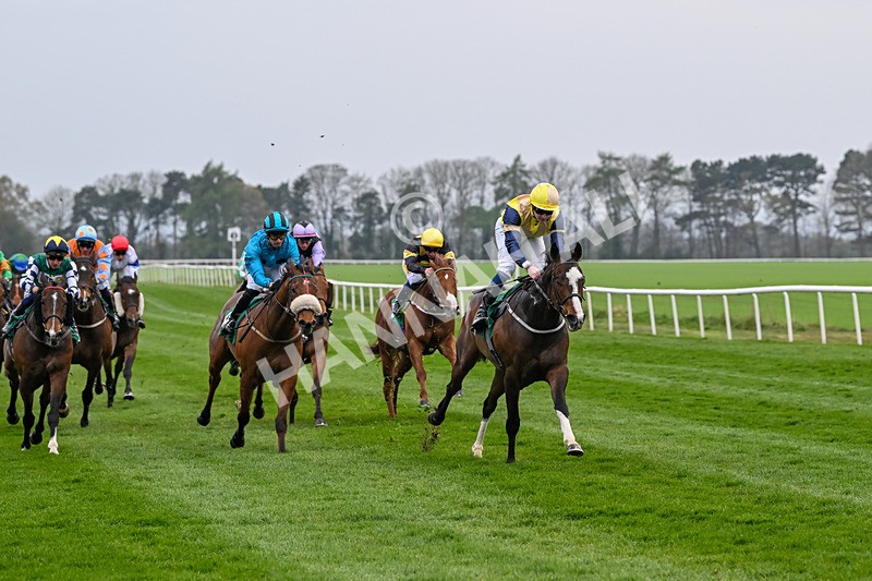 120425-Race 6-Musical Touch-1471 - Race 6