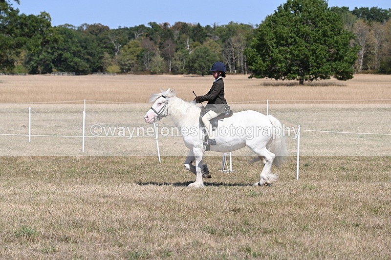 WJ6_8843 - Class 38 Ridden Riding Horse/Pony