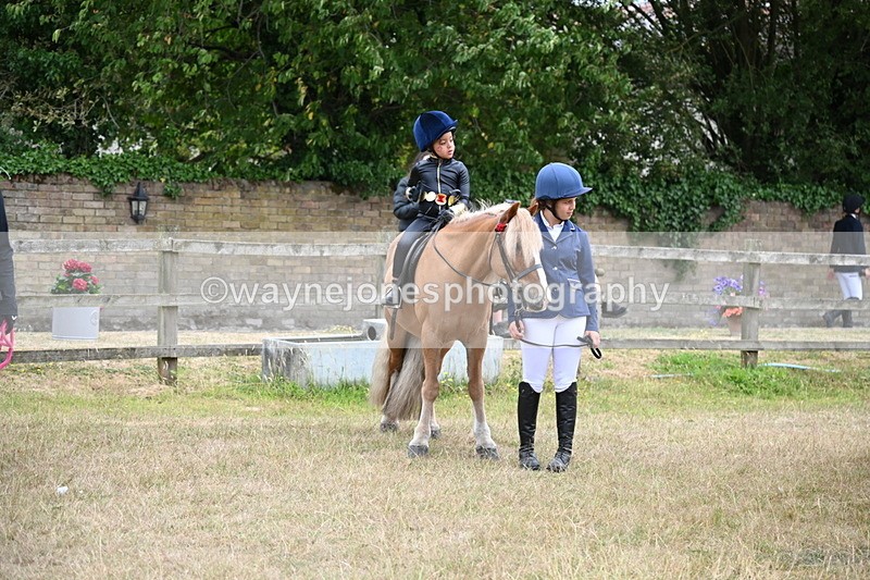 WJ6_9119 - Class 11 Fancy Dress
