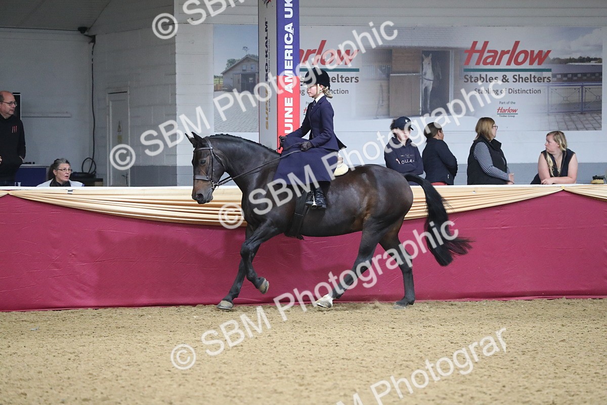 SBM_09332 - Class 101 Equitation (best rider), Junior