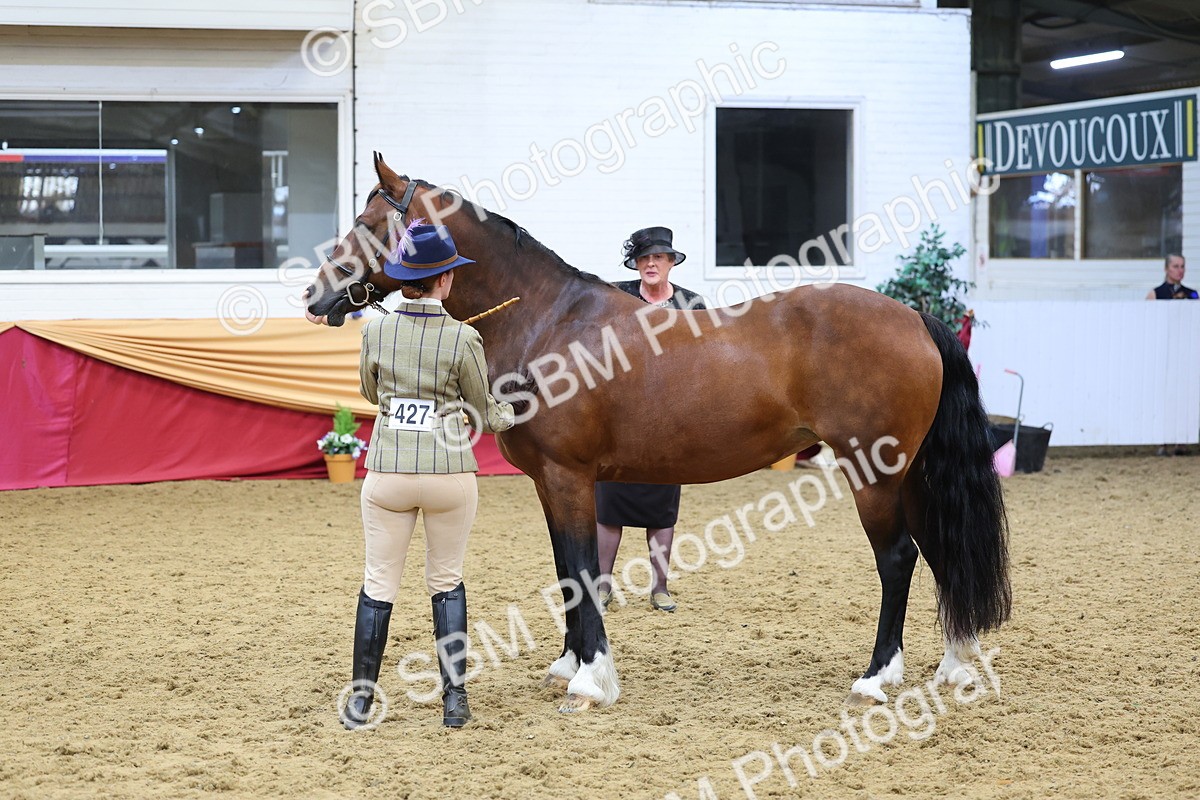 SBM_22872 - Class 903 - Supreme Final - IH Pre Vet