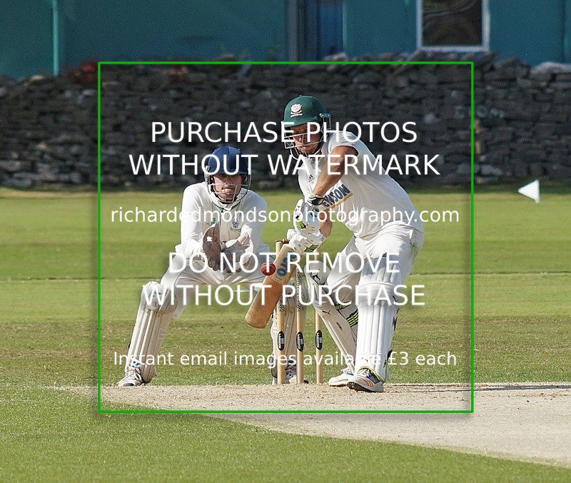 DSC03430_edited-1 - Cricket Images 2019