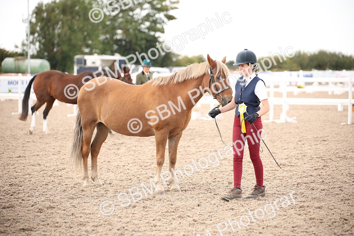 SBM_08267 - Class 27 - IH Competition Horse-Pony