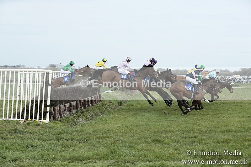 PtP 230319 159 - VWH Hunt Siddington Point-to-Point Racing 23/03/19