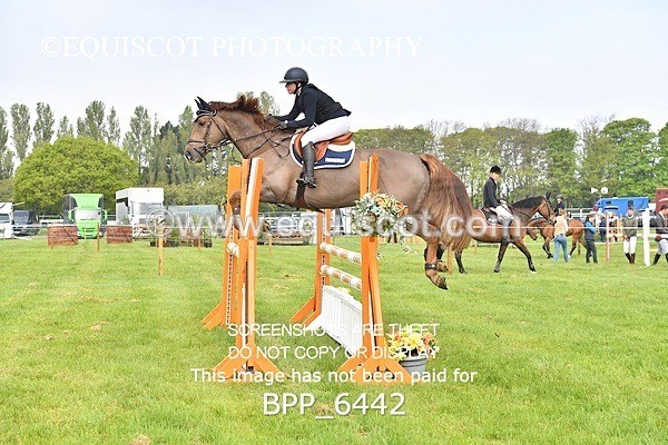 BPP_6442 - CLASS 1 Senior Newcomers/ 1.10m Open