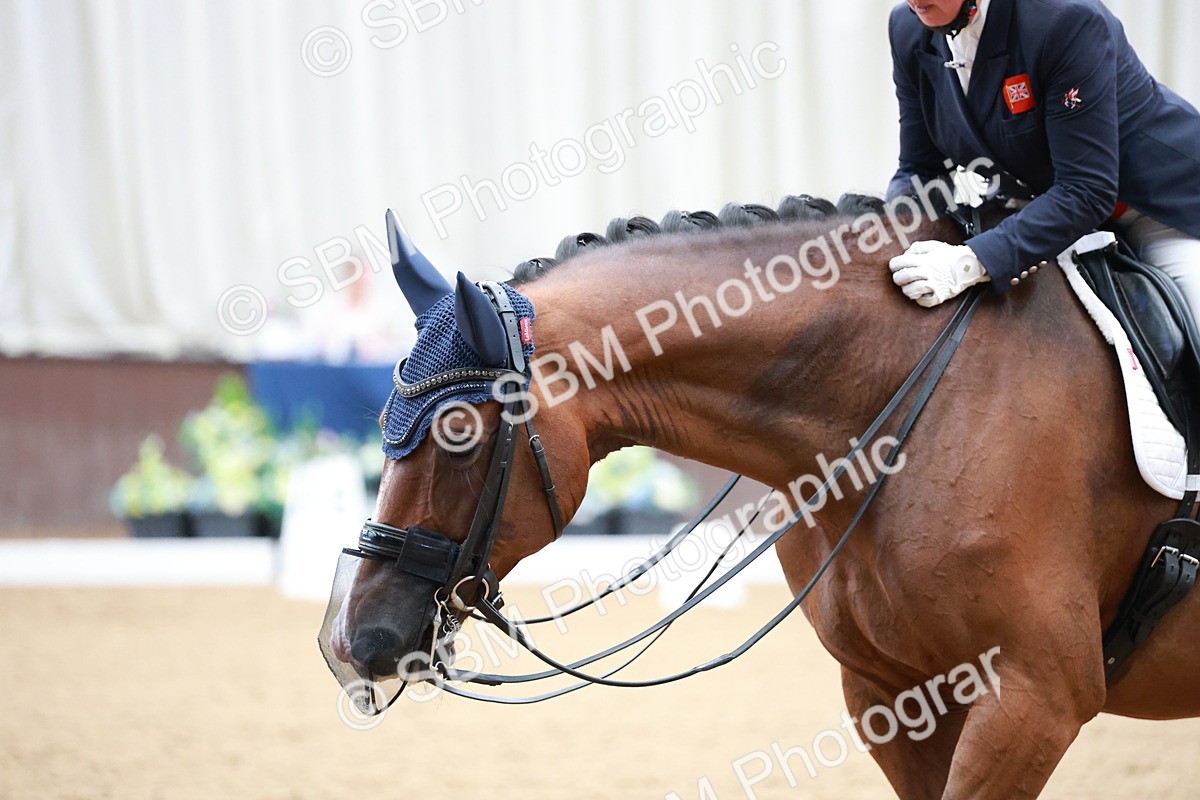 SBM_009483 - Class 13 - FEI PSG - 11.06-12.34