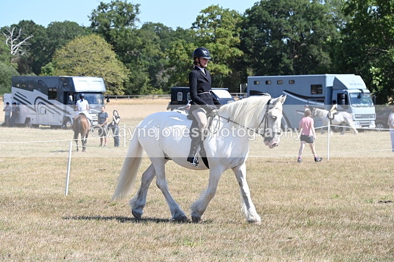WJ6_8256 - Class 37a Best Loan Pony Ridden