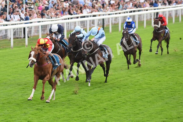yr04092022r3-29 - Race 3 2.55pm The Elevator Company Garrowby Stakes