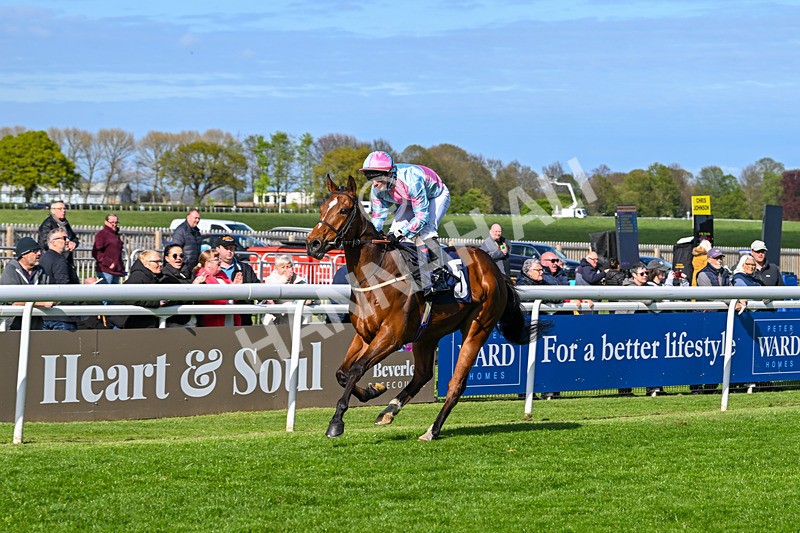 240425-Race 6-Alfie Boy-1668 - Race 6