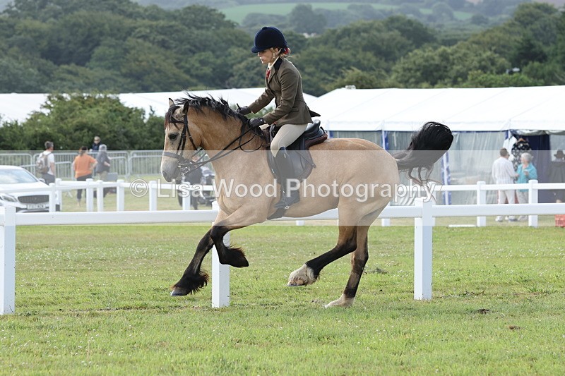 JPP_0821 - Class 16: Cornish Combination Young Rider