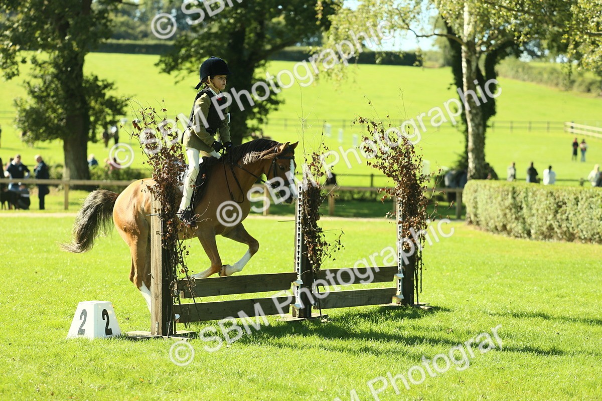 SBM_37416 - S29 - Novice & Newcomers Working Hunter Pony