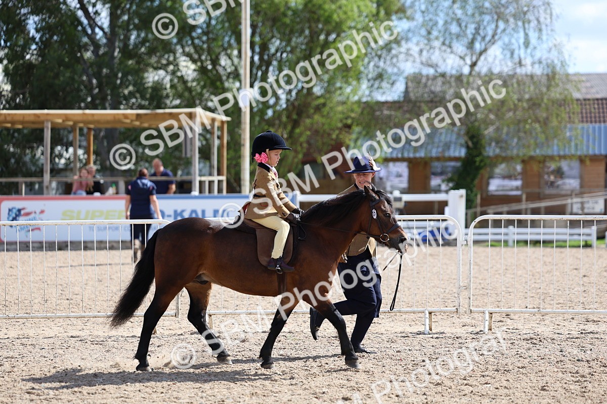 SBM_13059 - Class 309 - Lead Rein Pony
