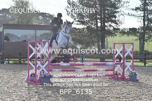 BPP_6135 - CLASS 2 80cm Scottish Amateur Champion of Scotland
