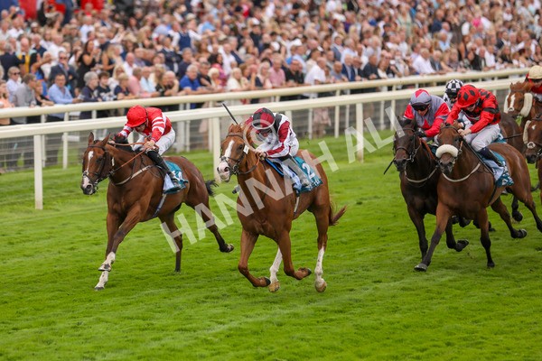 280723-Race 4-Cairn Gorm-2876 - Race 4 6.40pm Tomahawk Restaurants Handicap