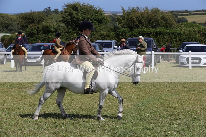 1X9A5426 - Class 37: NPS M&M First Ridden