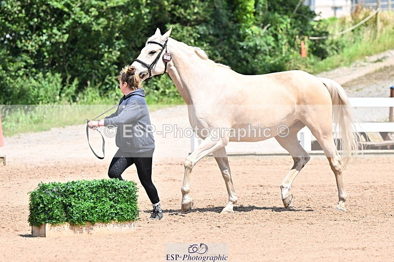 240718A-105315-01760 - Trot Up 1pm to 2pm