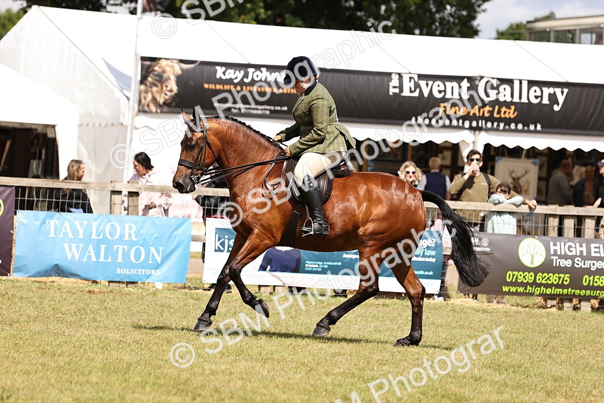 SBM_14560 - Class 88-89 - LIHS BSHA Rising Star of Ridden Hunter Type