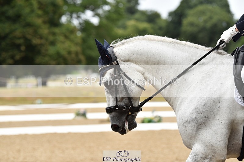 140110A-002816-10622 - 080-Polly.Vogel-Loughamore.Lady