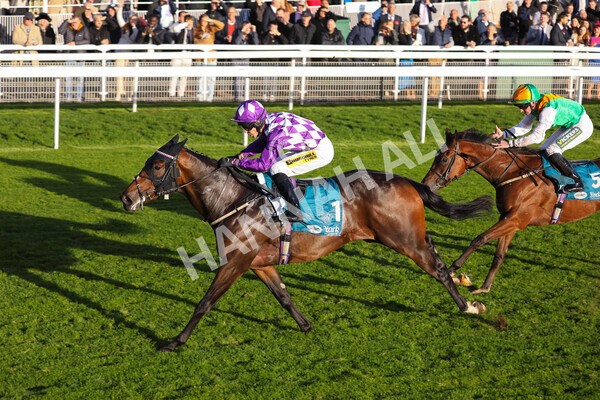 yr07102022r6-25 - Race 6 5.00pm William Hill Lengthen Your Odds EBF Novice Stakes