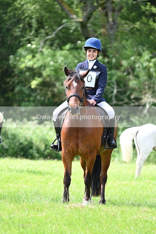 WJ7_1377 - Class 11 Condition & Turnout