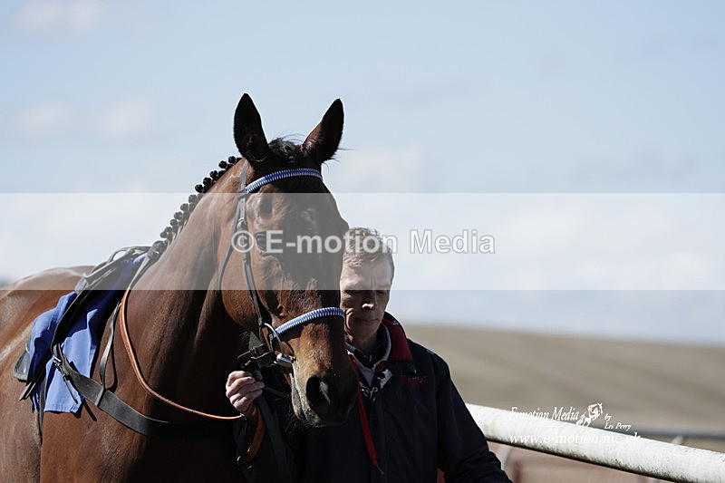 PtP 100423 548 - Old Berkshire Point-to-Point Lockinge 10/04/23